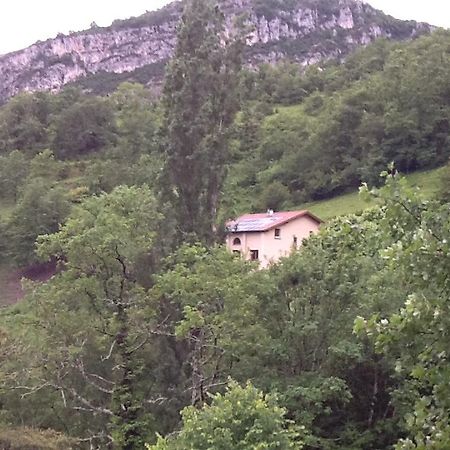 Studio En Pleine Nature Choranche Exteriér fotografie